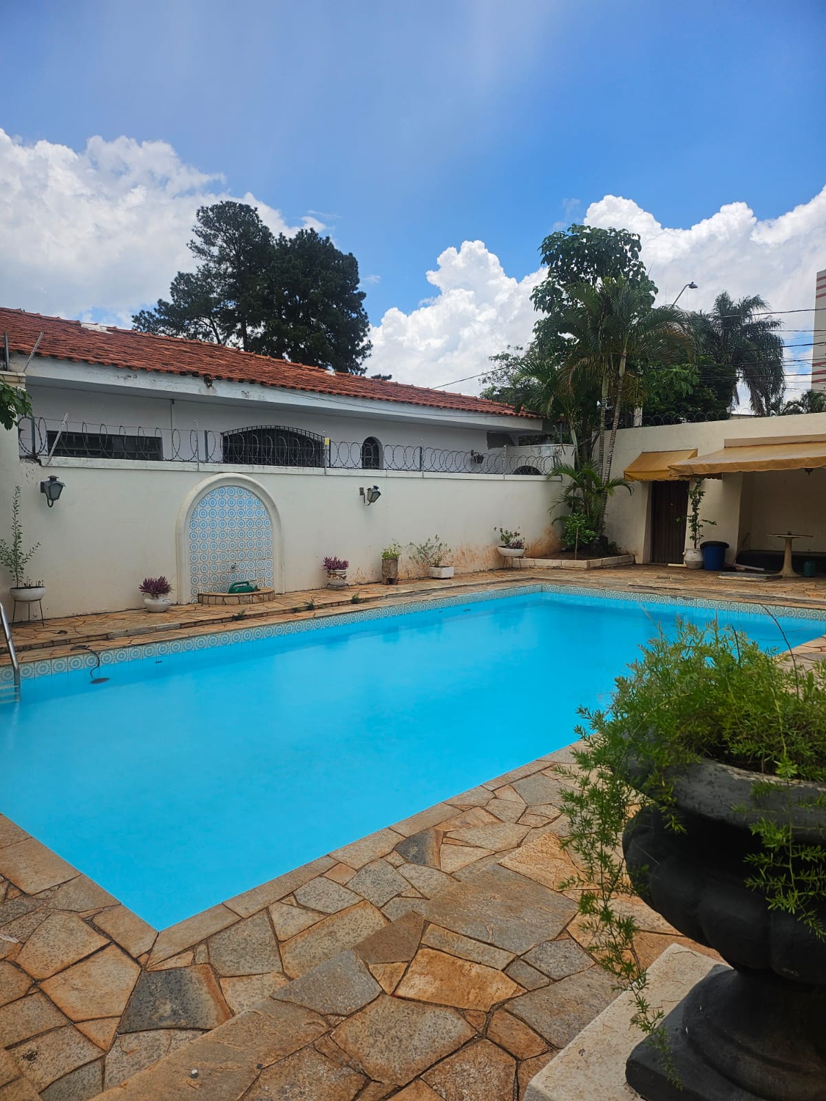 Imagem do WhatsApp de 2025-04-24 à(s) 12.26.49_b2fb47ec.jpg